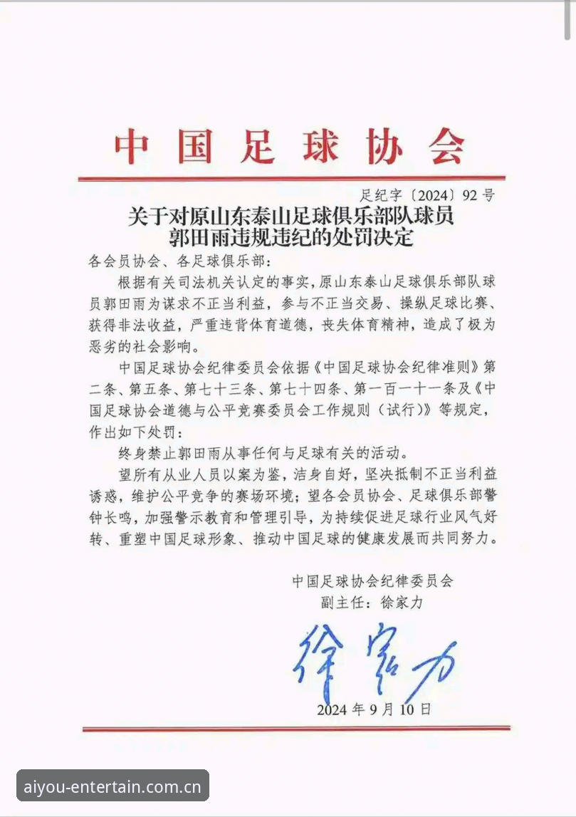 中国足协第三批禁足名单深度解析：17人终身禁赛背后的行业乱象与治理逻辑